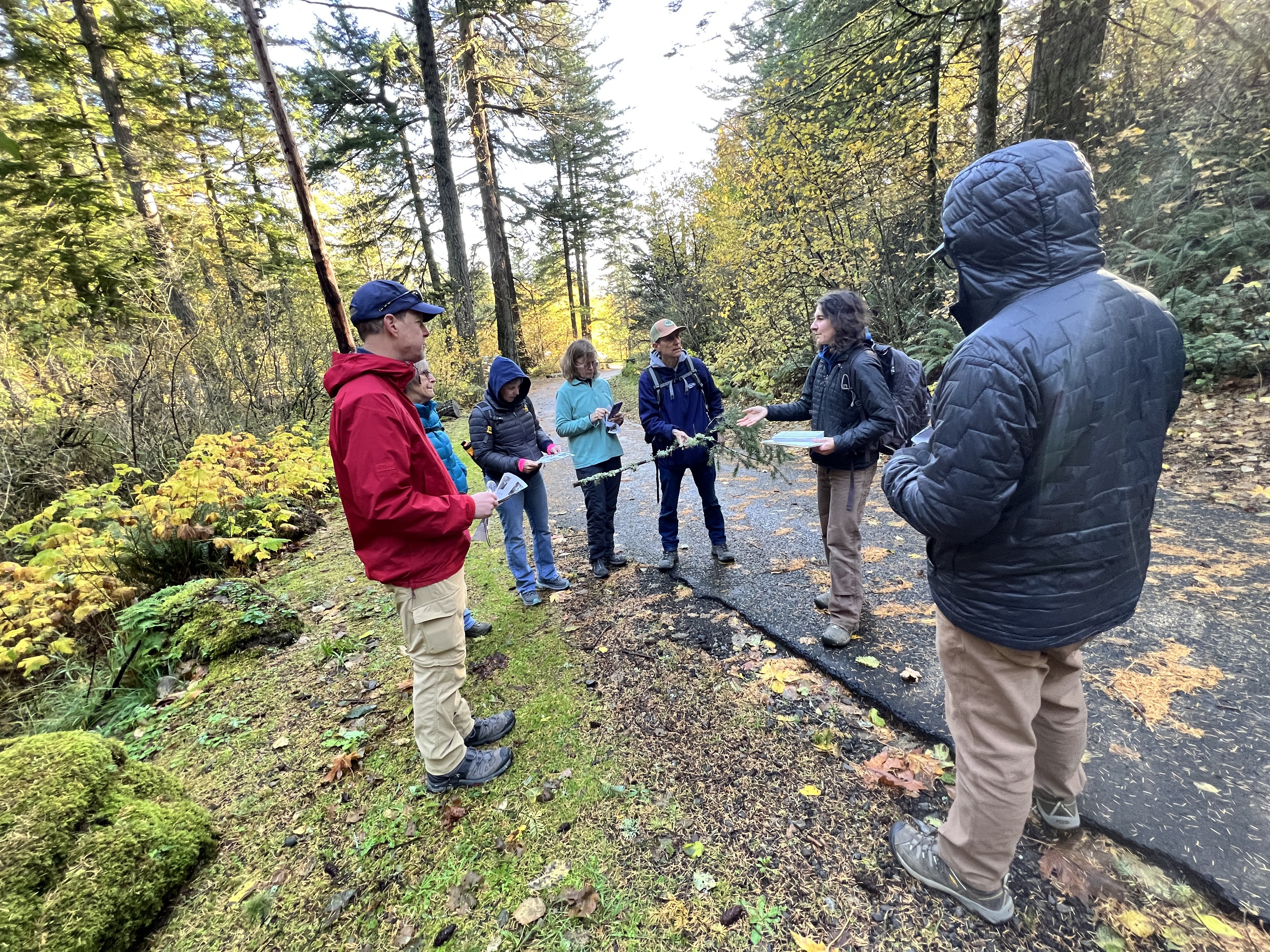 Learning about lichen