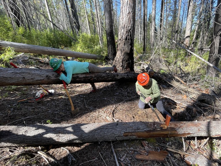Two WTA volunteers are at work. One saws a log while the other rests on a (separate) log