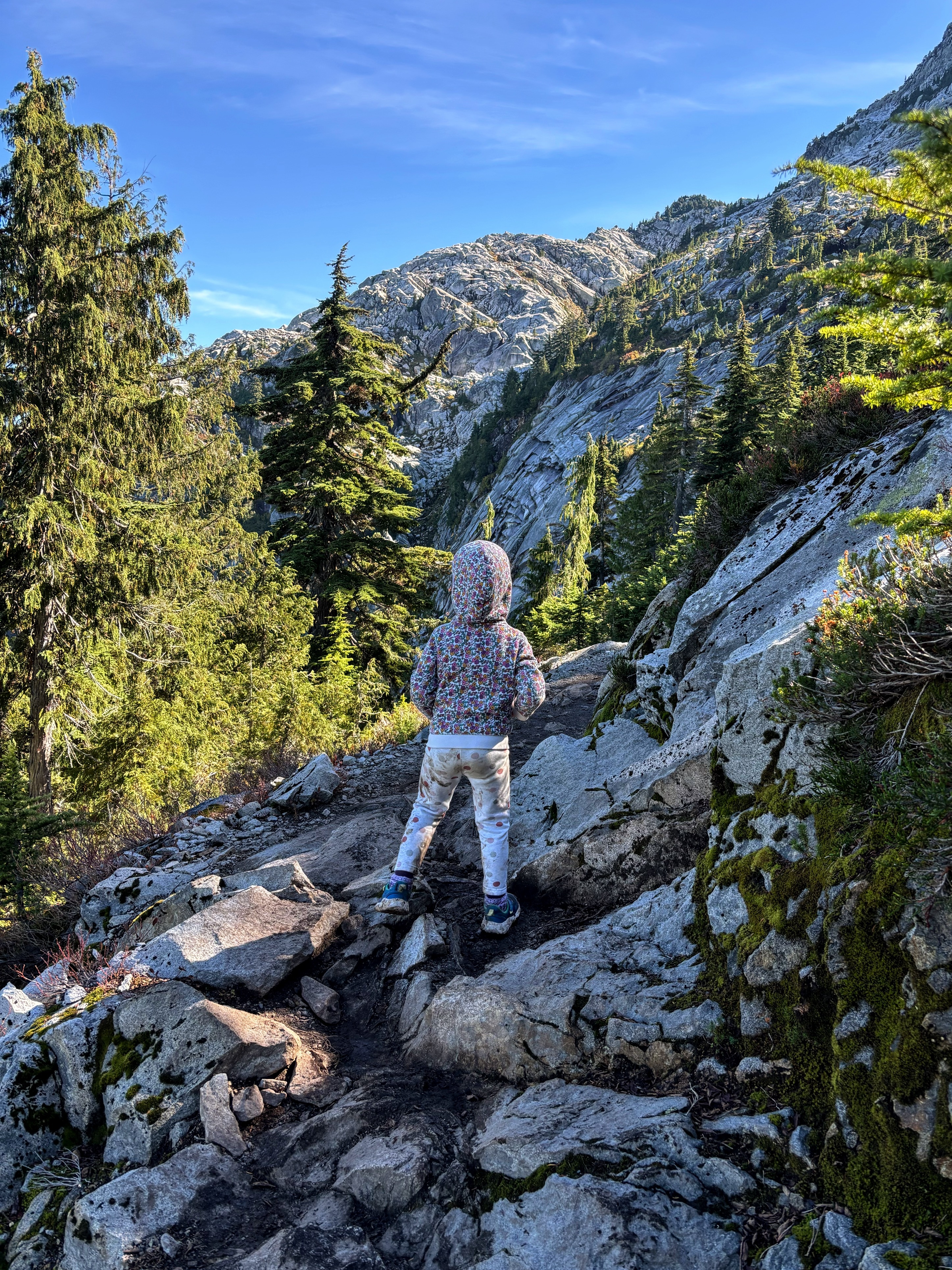 Small child on rocky trail facing away from camera.