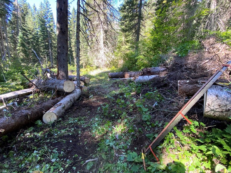Indian Creek trail cleared of blowdowns. Photo courtesy of the Wenatchee River Ranger District. 