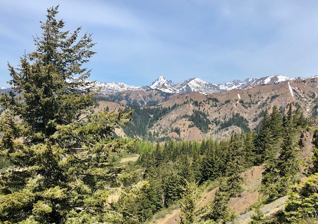 iron bear_QAHiker.jpeg