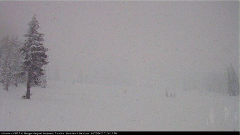 Mount Rainier National Park webcam