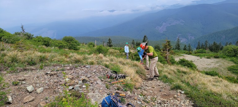 Trail crews work on a trail through a high, open meadow. 