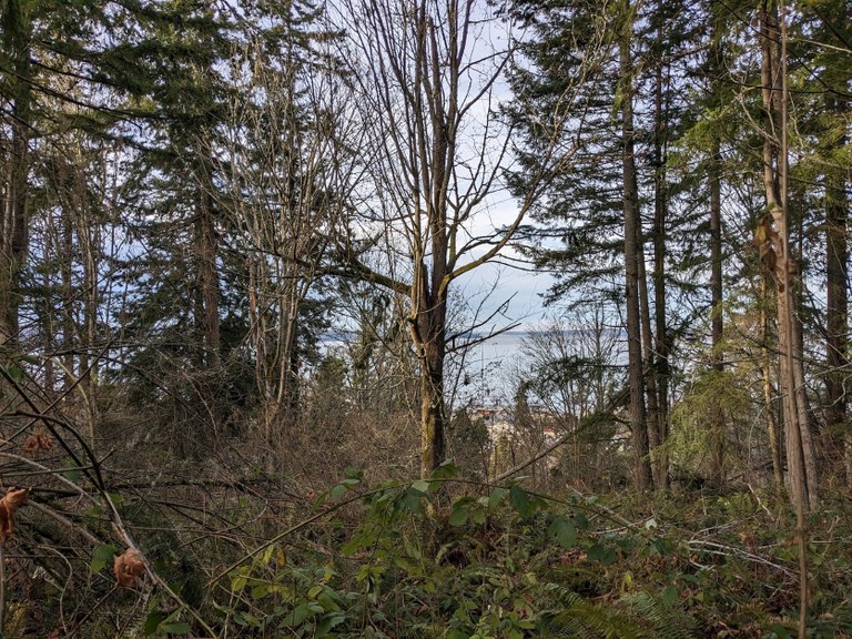 View of the Puget Sound at Japanese Gulch. Photo by kmeyer02.
