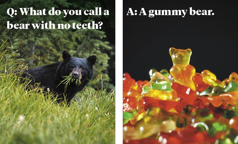 Q: What do you call a bear with no teeth? A: A gummy bear Q: What do you call a bear with no teeth? A: A gummy bear