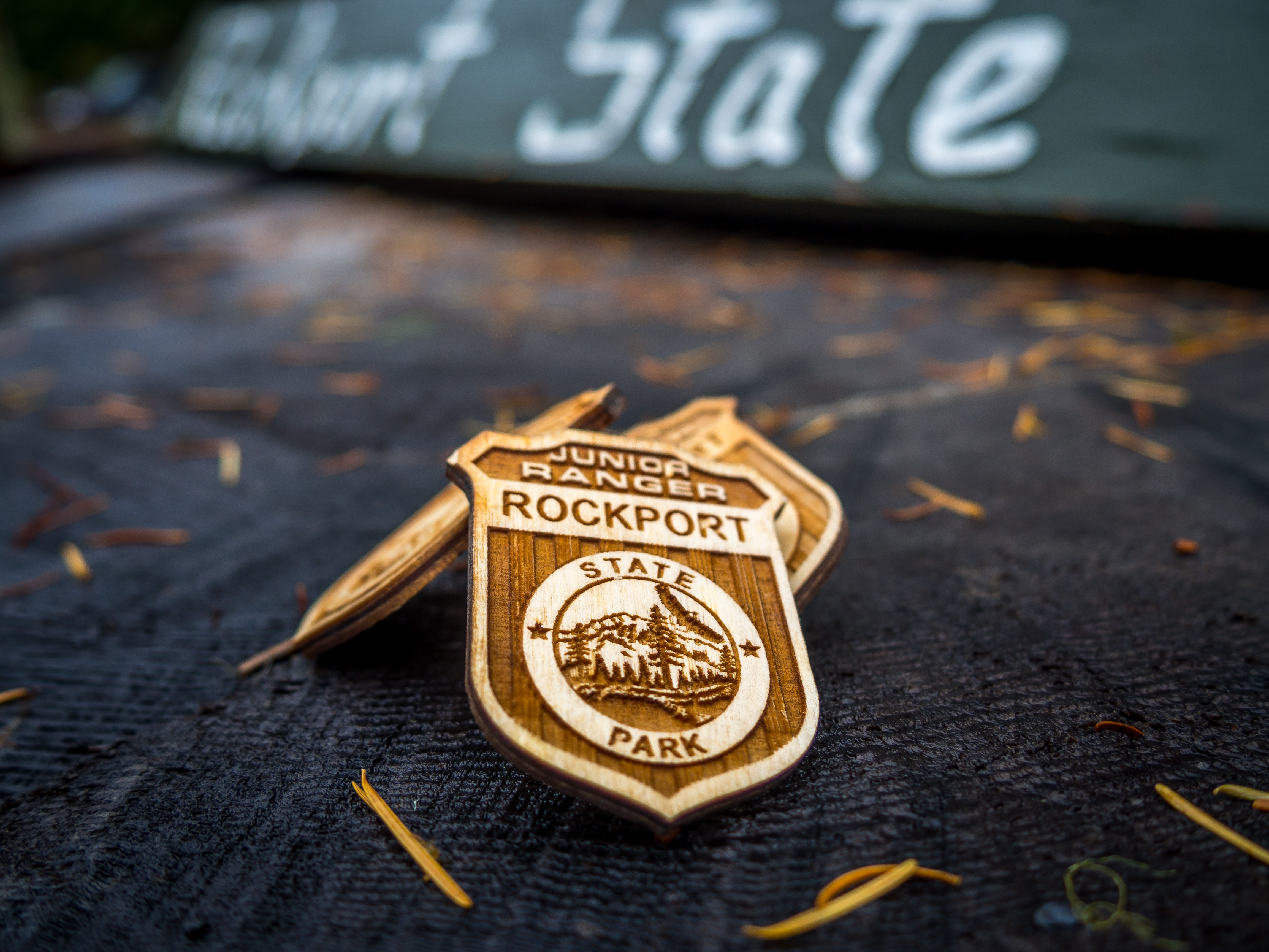 Junior Ranger Badge.jpg