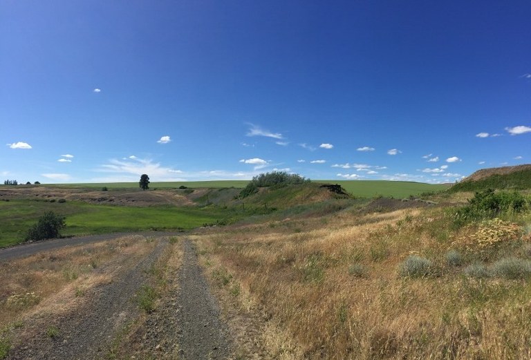 Palouse to Cascades is the new name for the Iron Horse State Park/John Wayne Pioneer Trail, which runs 285 miles across the state. Photo by jaltice. JWT.jpeg