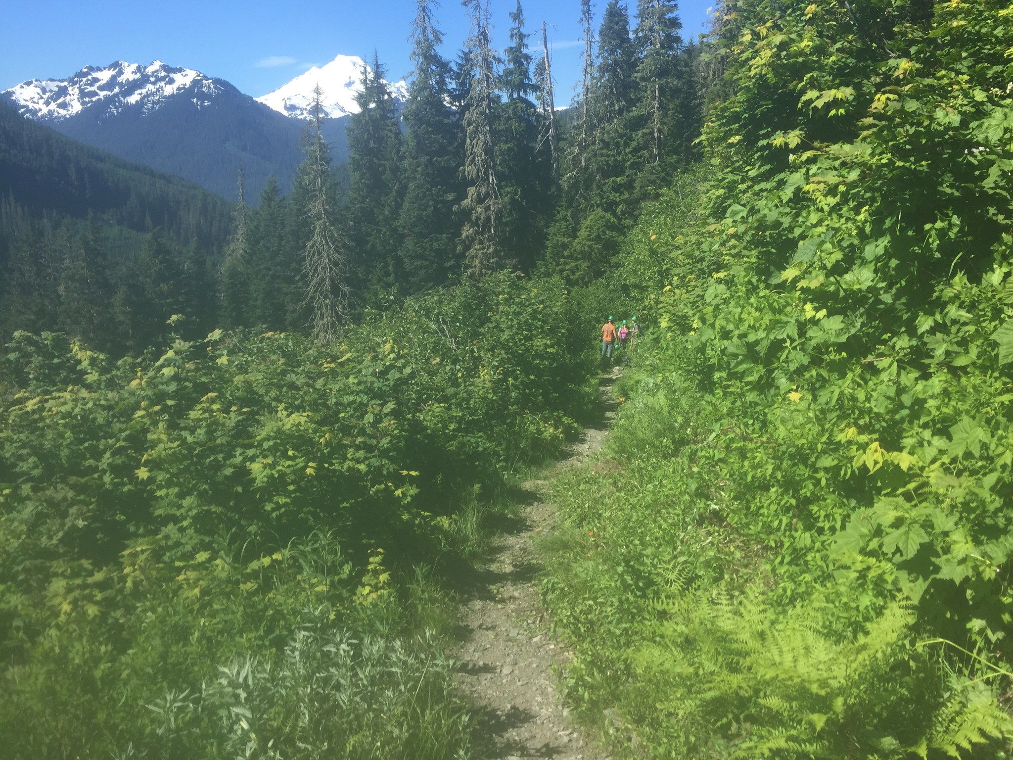 keiko.jpeg keiko.jpeg