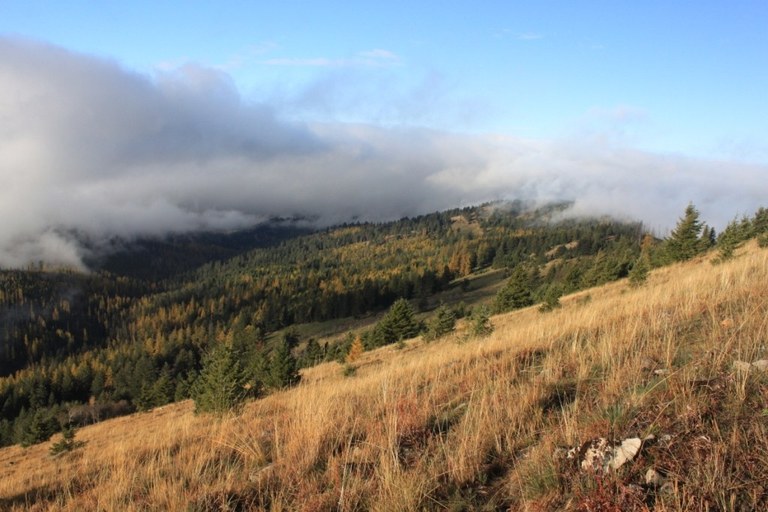 Kettle Crest by Holley Weiler.jpeg