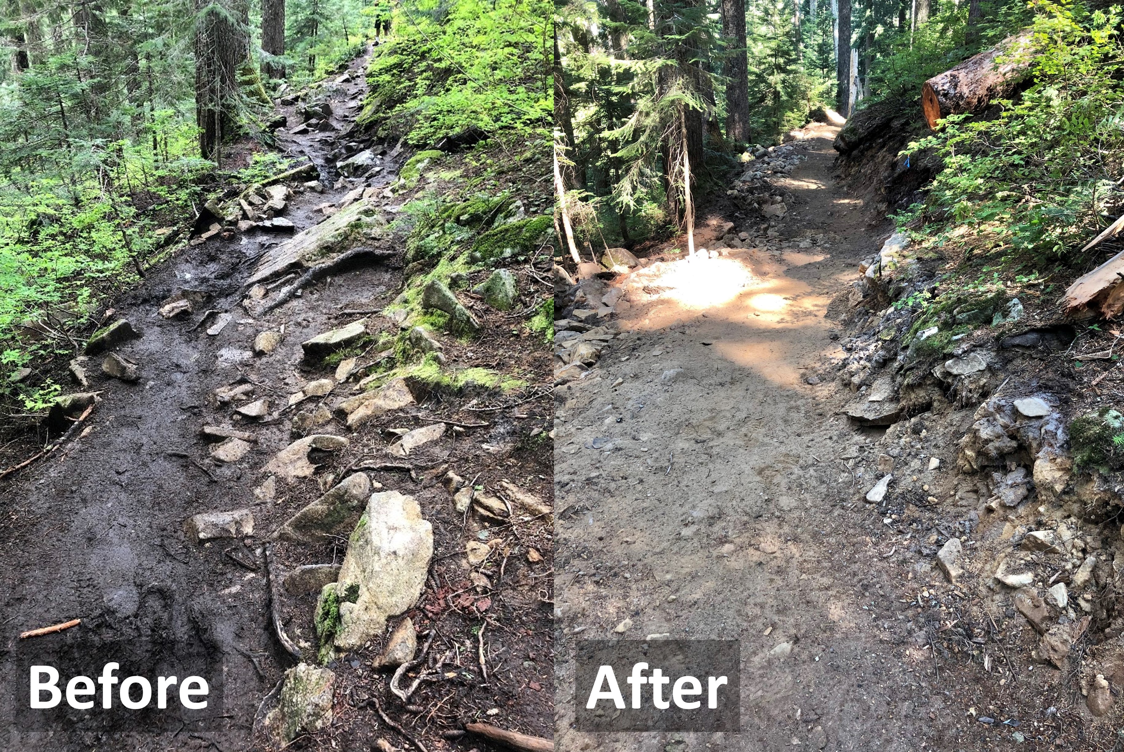 Side by side photos of the same trail, with large rocks (labeled "before") and with a smooth surface (labeled "after")