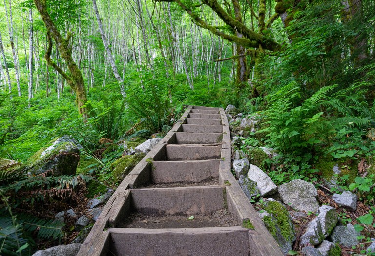 Staircase on forest trail