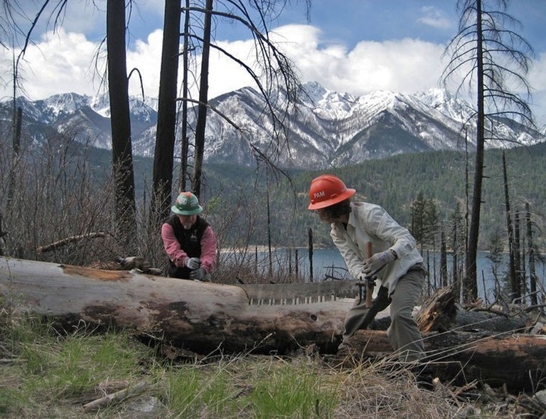 Two volunteers in WTA hard hats work on a crosscut saw to clear a tree across the trail.