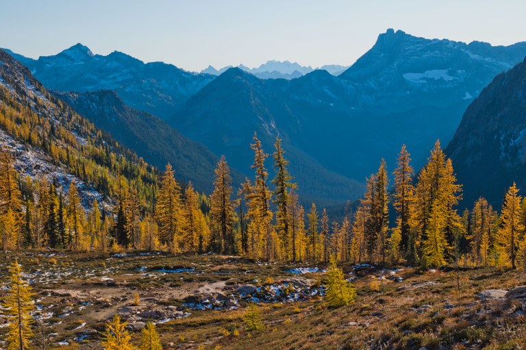 Larches on the Pacific Crast Trail, another Washington gem that has received LWCF funds. Photo by hikingshen..jpg