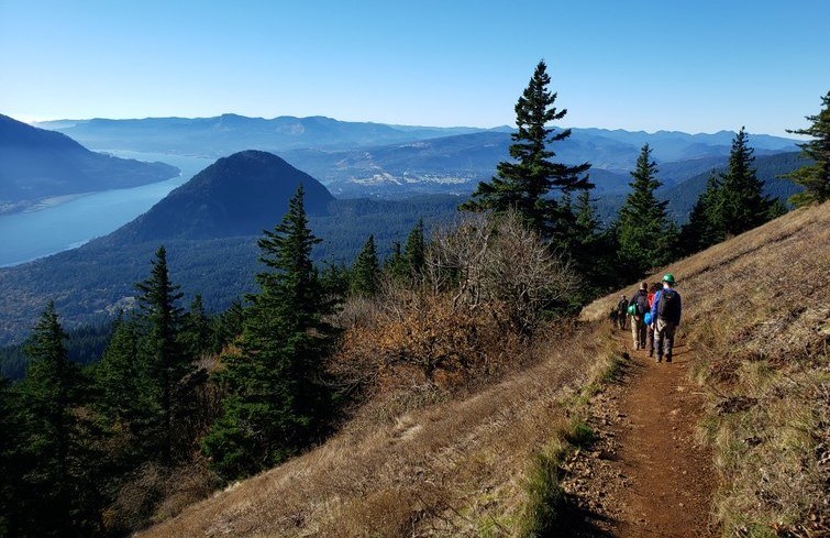 Photo by Jim Clute. large.jpg