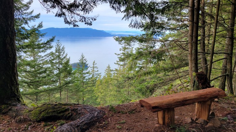 A bench at a viewpoint on the Chuckanut Ridge Trail at Larrabee State Park. Photo by bentley-edelman.