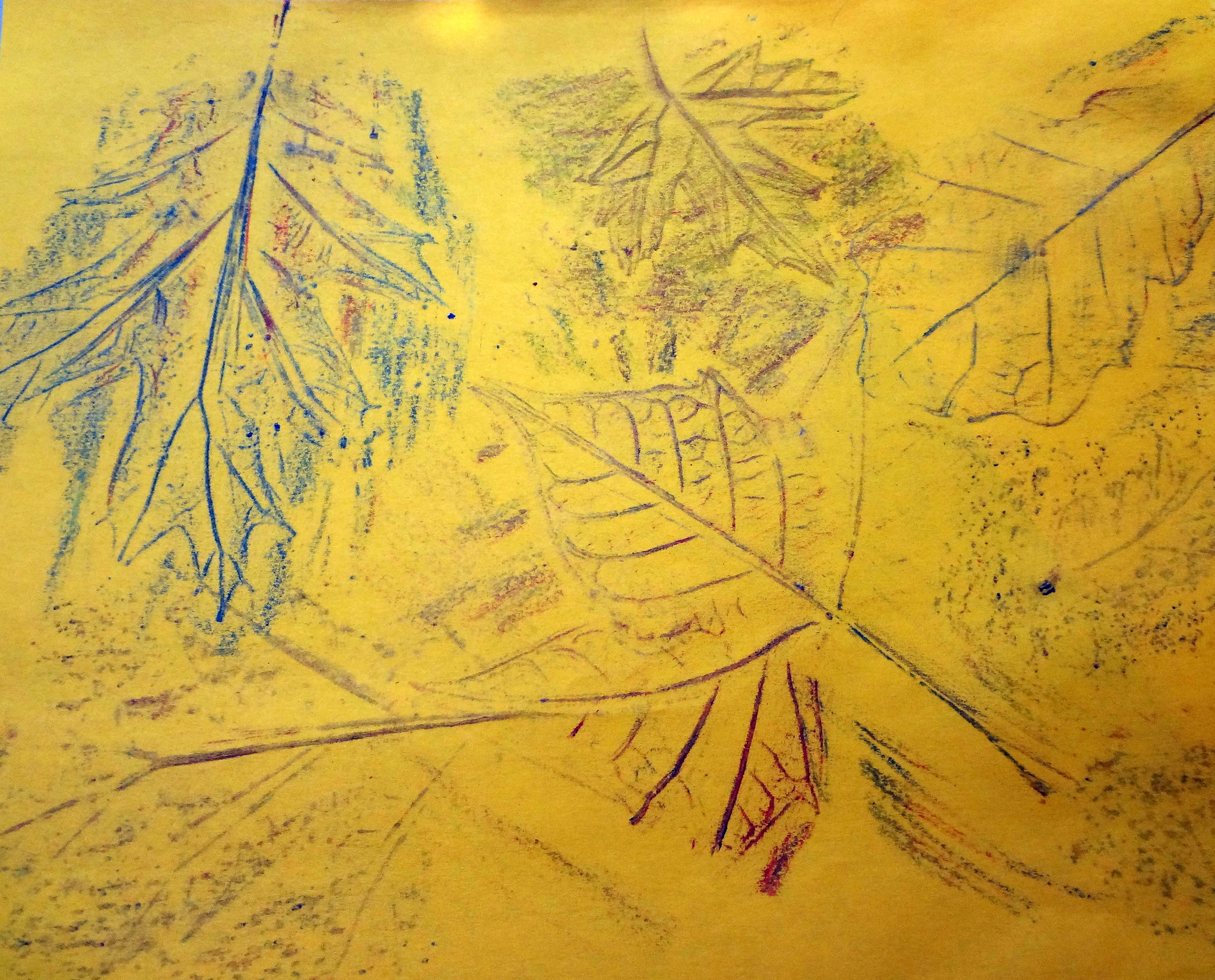 leaf rubbing emma craig.jpg