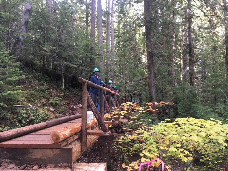Volunteers wearing green hard hats stand on a completed log bridge with a railing on one side. Vine maples in front of the bridge are begging to turn yellow and orange. 