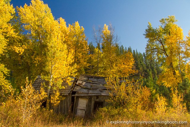 A falling down building amid brightly colored fall leaves. 