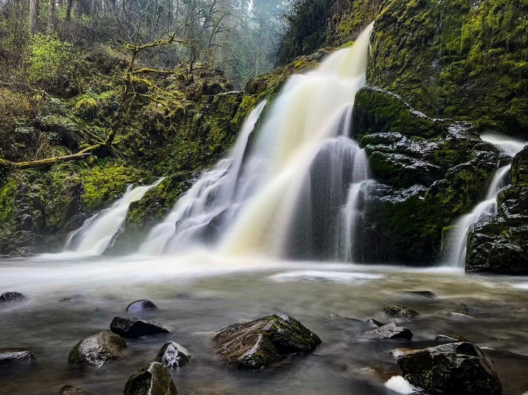 View of Little Mashel Falls from the Bud Blancher Trail. Photo by msmit245.