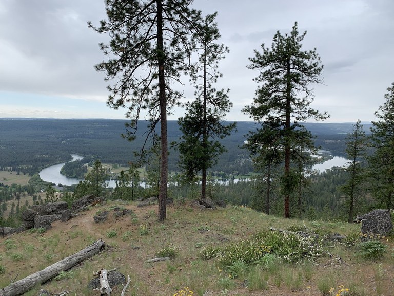 The banks of the Little Spokane River will soon have even more public land to explore.