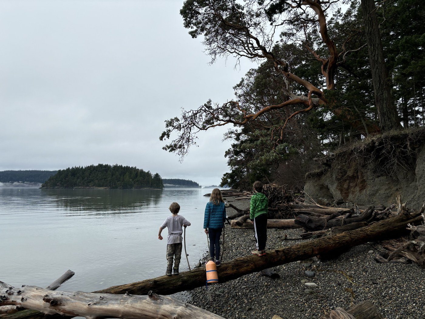 Looking out at Similk Bay from Kukutali Preserve