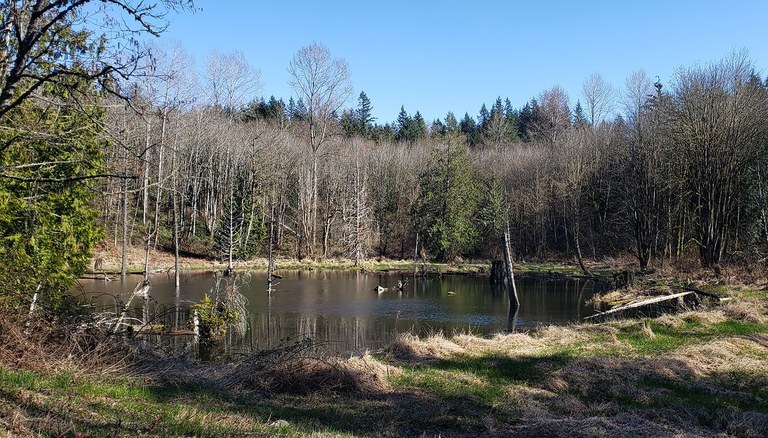 Lord Hill by Rayan Lord Hill by Rayan