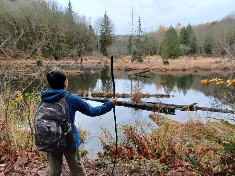 A boy looks into a pond. 