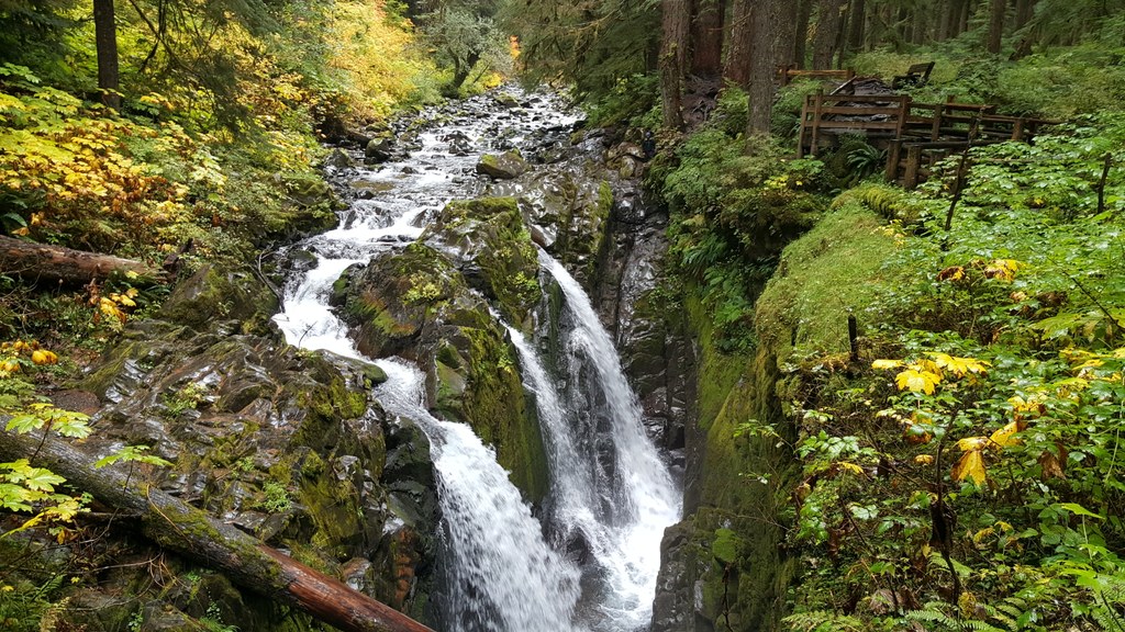 Lover's Lane Loop Photo by Juno Goes For A Hike.jpeg