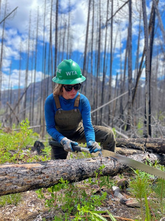 Sawing a log at Hidden Lakes. Photo by Rachel Wendling.