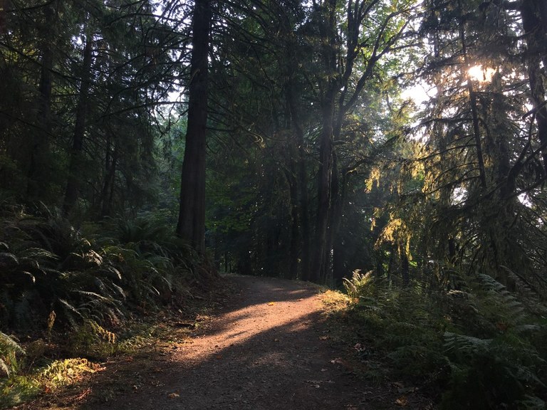 Margaret's Way Photo by CapnCrumples.jpeg Margaret's Way Photo by CapnCrumples.jpeg