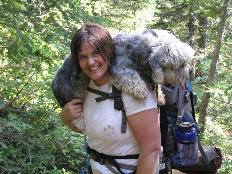 Dog getting carried at Marmot Pass A tired dog is draped around the neck of a smiling hiker.