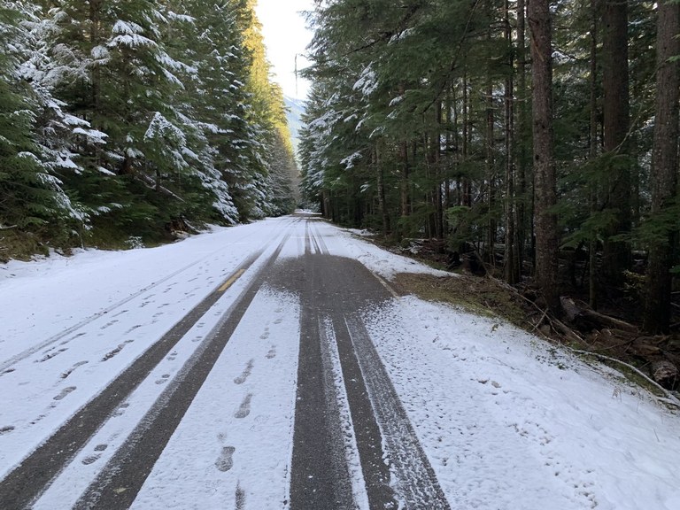 Mather Memorial Parkway Snowshoe. Photo by Theresa. A snow-covered road with footsteps going off into the distance.