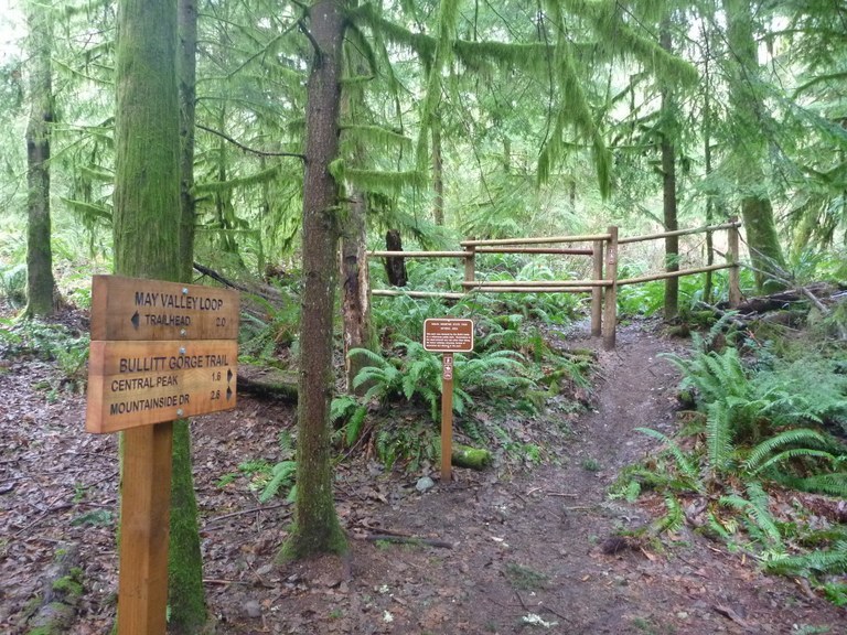 may valley trail. photo by eric jain.jpeg