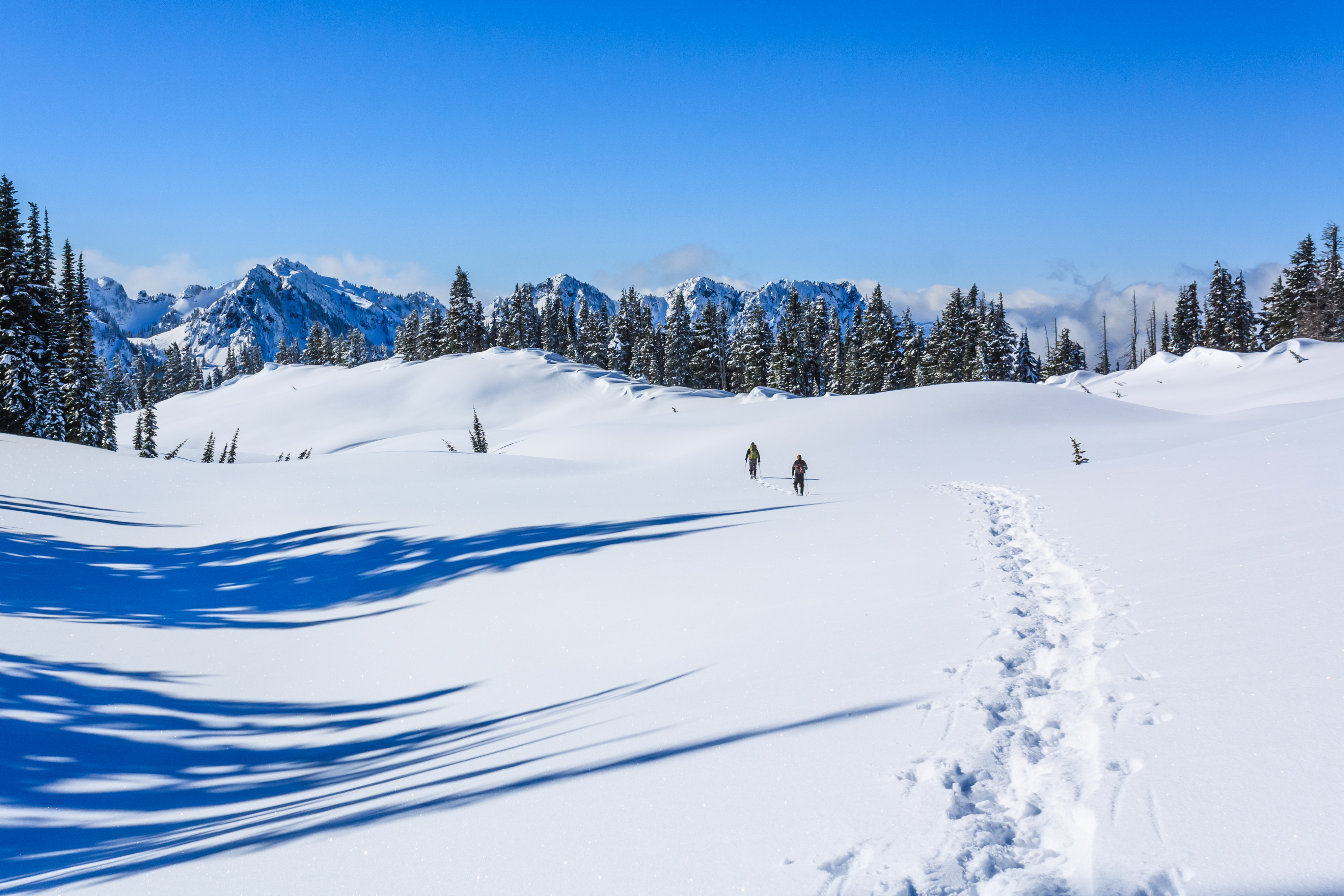 Mazama Ridge Snowshoe Photo by John Tomlin..jpg