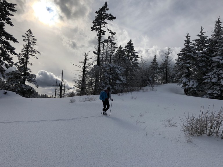 mica peak_Trailkat.jpeg