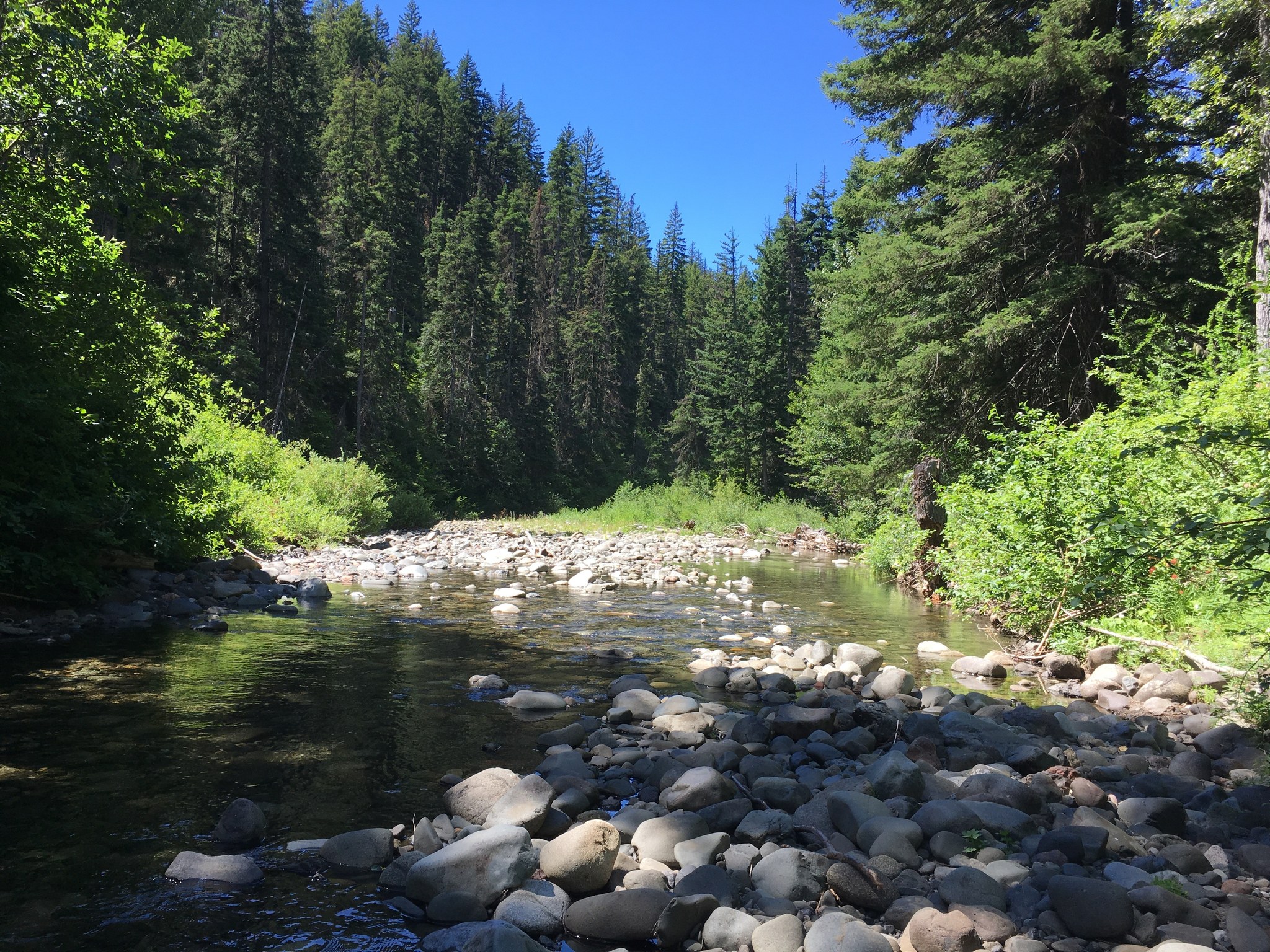 Middle Fork Teanaway by Archaeopteryx80.jpeg