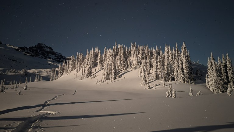 Snowy landscape at midnight at Mazama Ridge. Photo by Sarah Yue.