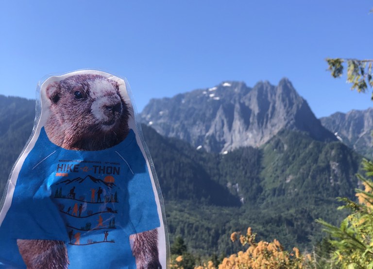 Miles the Marmot with Mount Index in the background. Photo by jennekehikes.