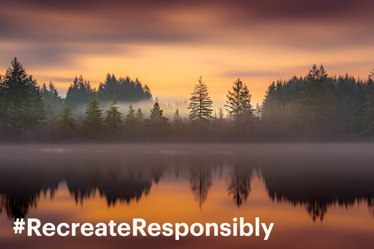 millersylvania Scott Willis web2.jpg millersylvania Scott Willis web2.jpg