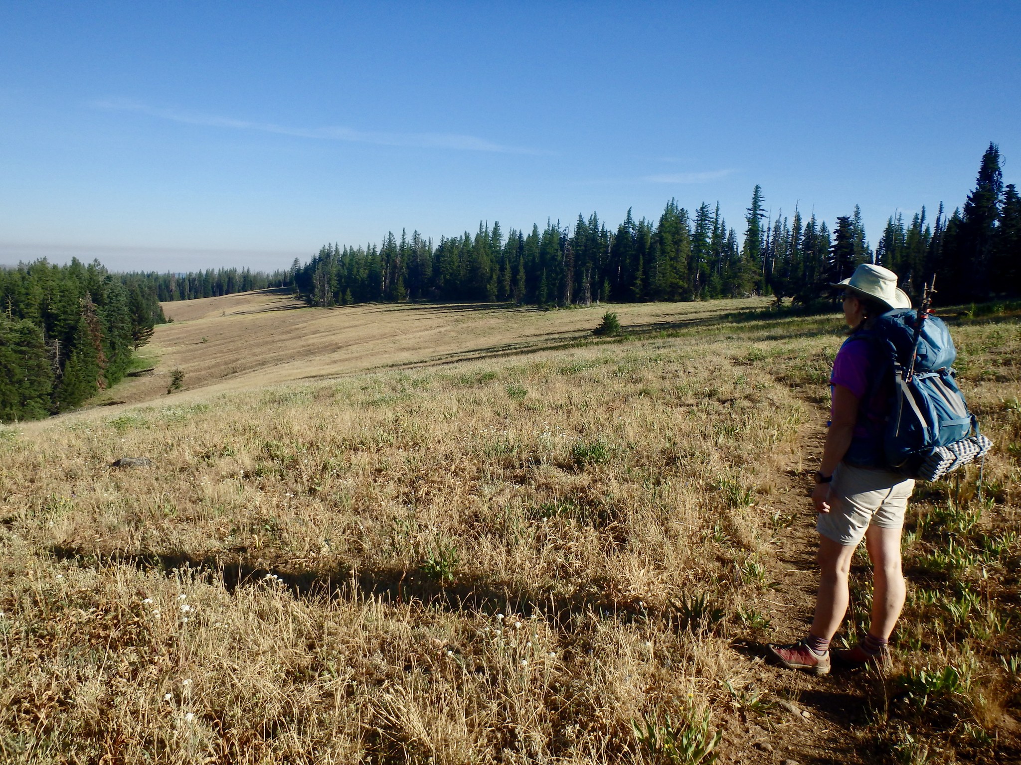 misery.jpeg misery.jpeg