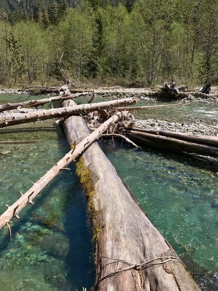 Monte Cristo log crossing by Joe Henry.jpeg