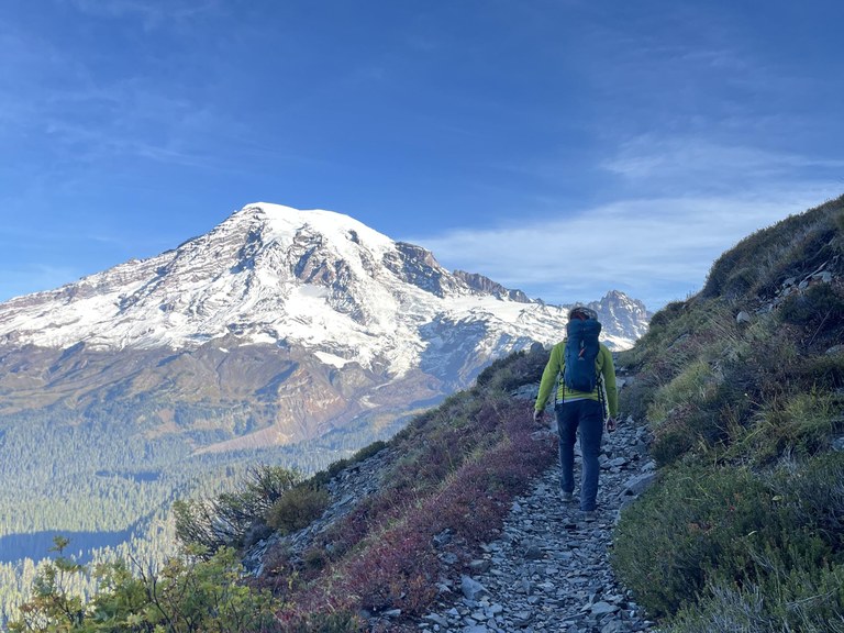 A view of Mount Rainier from on a trail. Photo by trip reporter pnw_editor.