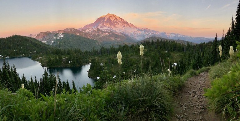 Mount Rainier from Tolmie Peak by Sherry Mezger.jpg