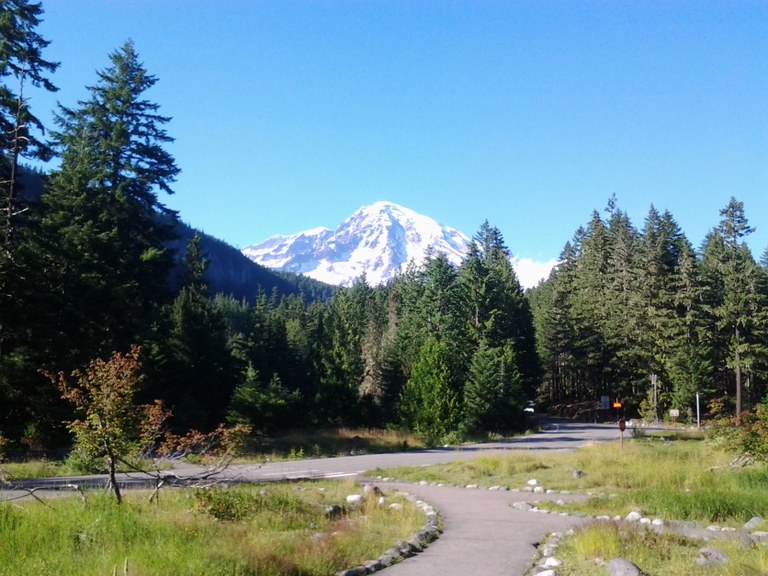 View of Mount Rainier. Photo by Jesse Gold. View of Mount Rainier from Longmire Trail in Mount Rainier National Park. Photo by Jesse Gold.