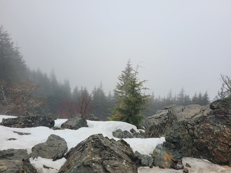 Clouds from the top of Mount Si. Photo by kreidykid. 