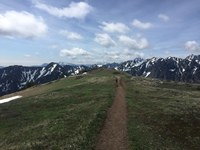 Trail cresting the summit. 