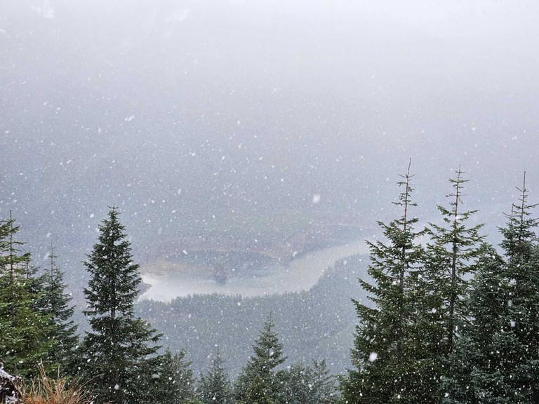 Falling snow on Mount Washington trail. Photo by trip reporter Mel Lo.