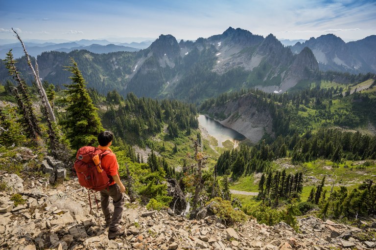 mt rainier .jpg