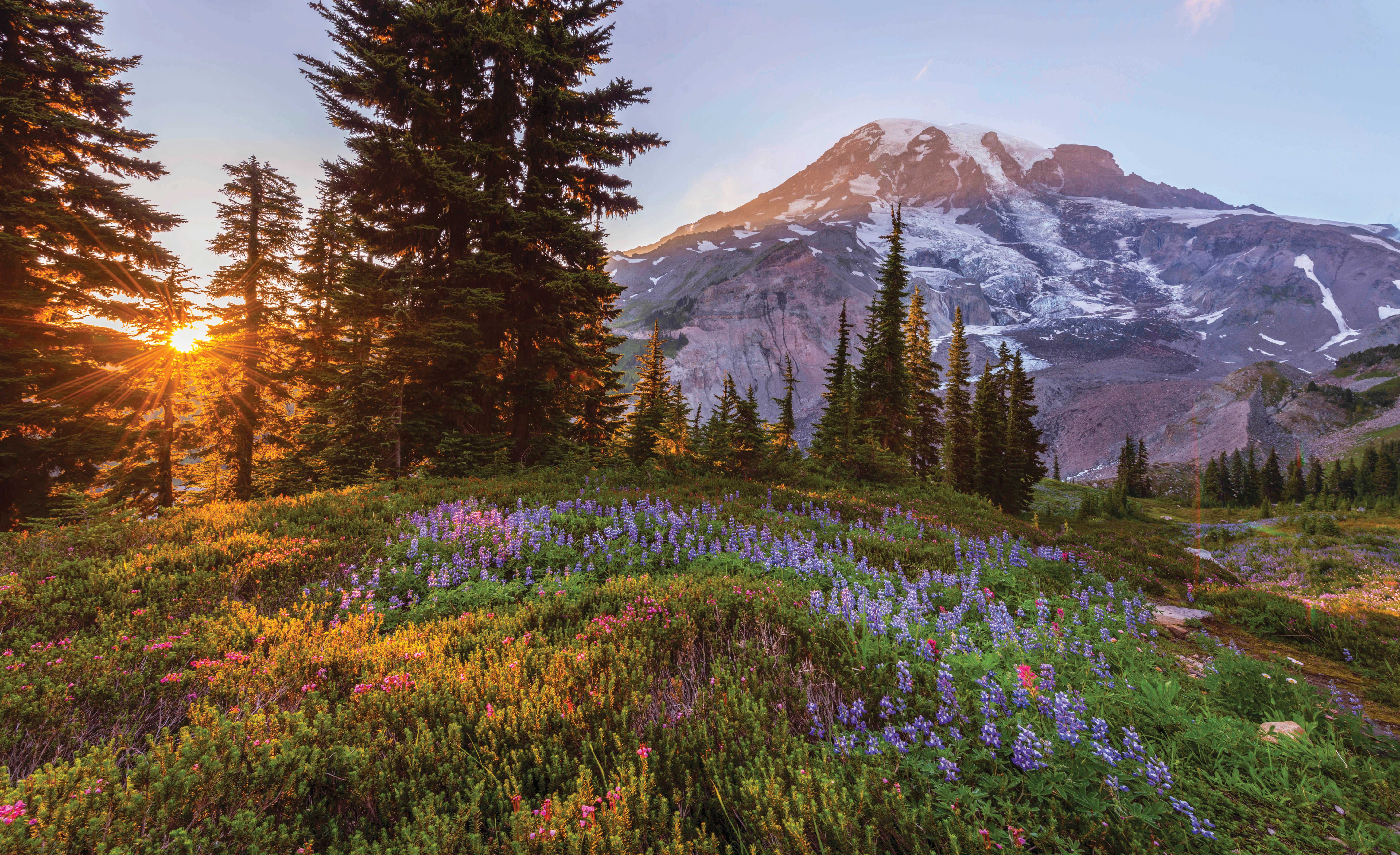 Mount Rainier at Skyline 