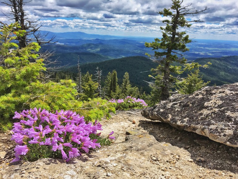 Mount Spokane State Park by Tara Burke. mt spokane Tara Burke.jpg